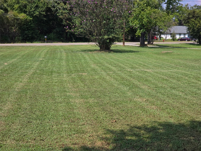 Lawn fertilization East Texas