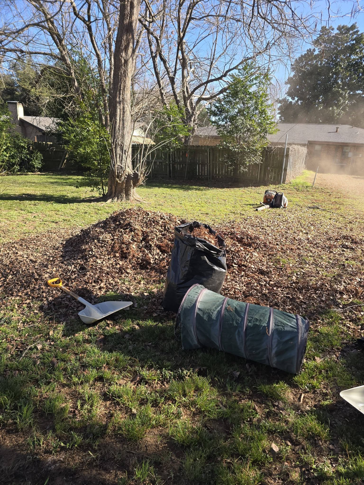 Seasonal lawn cleanup Cedar Creek Lake