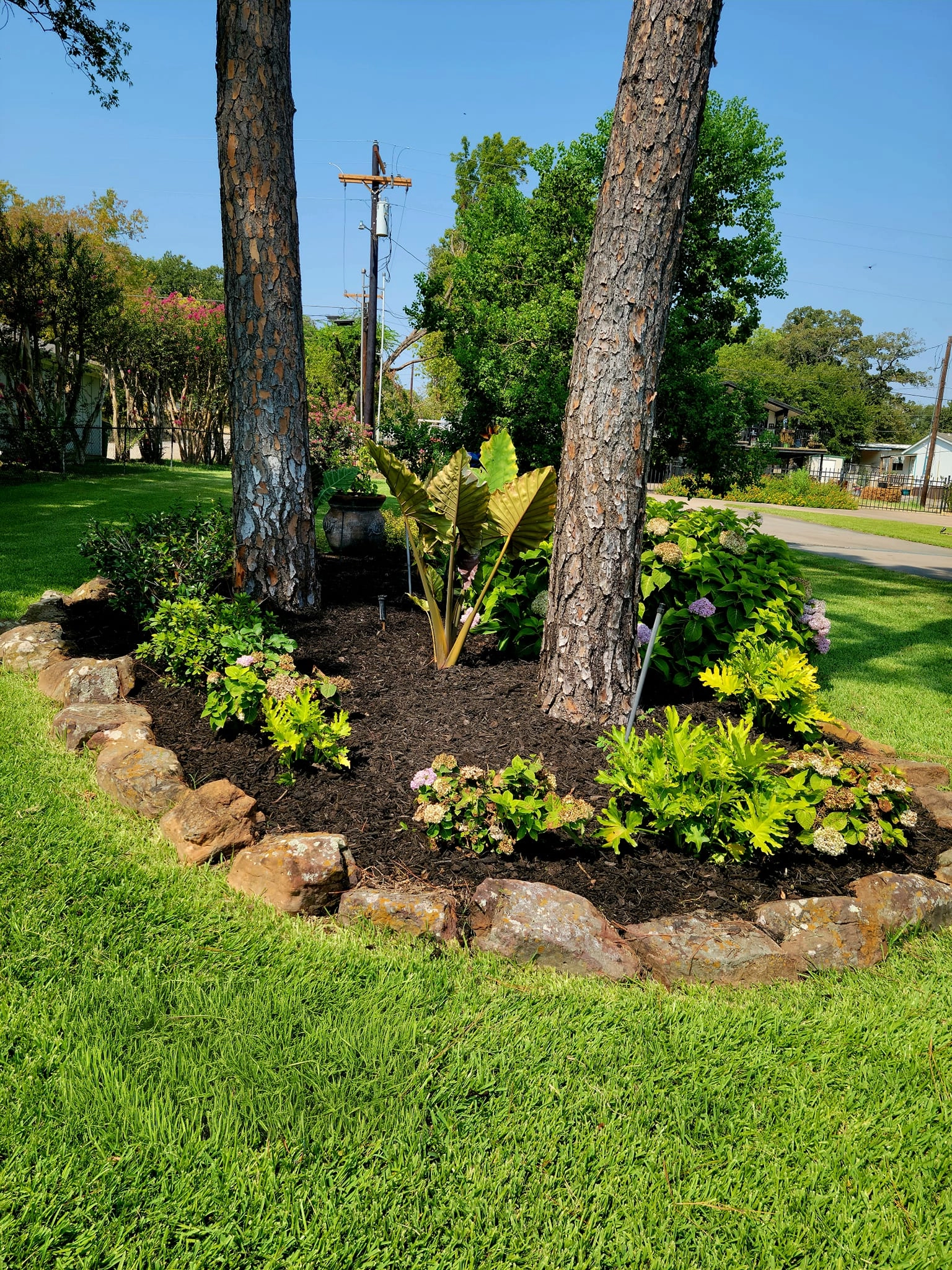 Mulch installation Cedar Creek Lake TX